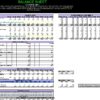 Detailed Balance Sheet with ROIC analysis