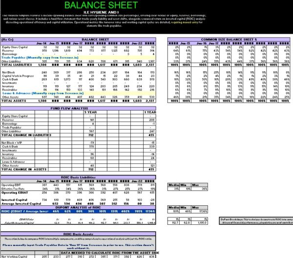 Detailed Balance Sheet with ROIC analysis