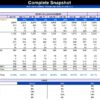 Comprehensive financial snapshot of company performance in Excel