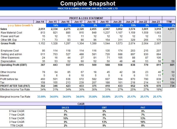 Comprehensive financial snapshot of company performance in Excel